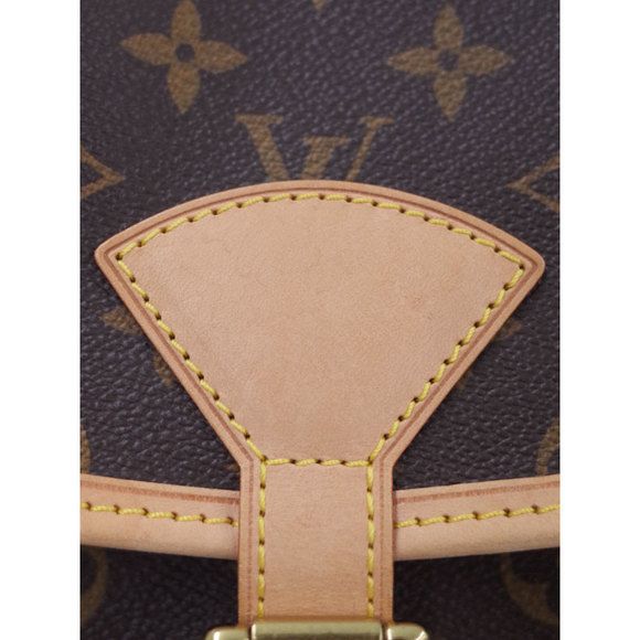 Louis Vuitton Shoulder Sologne Monogram Bag - Picture 5 of 5